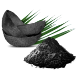 Palm Shells